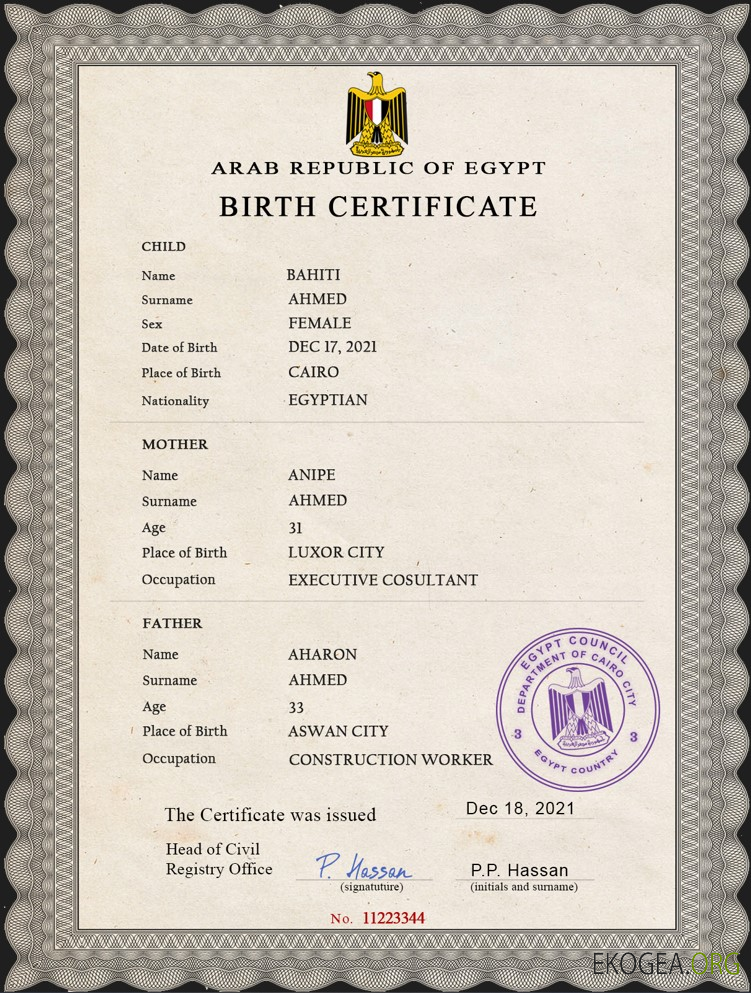 Modèle PSD de certificat de naissance d'état civil en Égypte